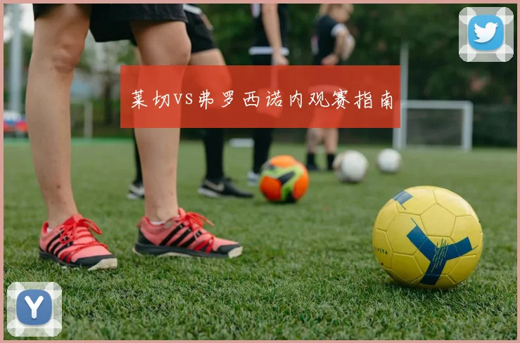 莱切vs弗罗西诺内观赛指南