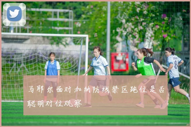 马耶尔面对加纳防线禁区跑位是否聪明对位观察