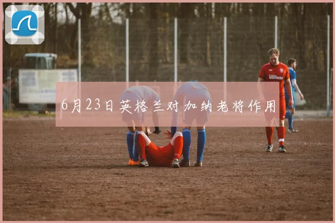 6月23日英格兰对加纳老将作用