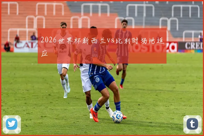 2026世界杯新西兰vs比利时场地适应